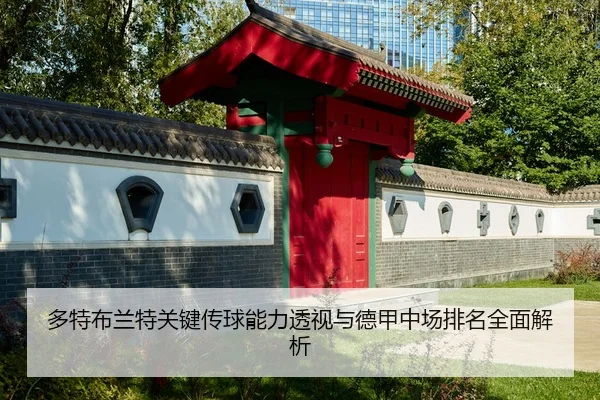 多特布兰特关键传球能力透视与德甲中场排名全面解析